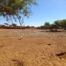 A dry river in Ulasan, a village in eastern Somaliland.
