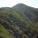 Part of the Gollis ranges in the Sahil region. An environment in need an urgent intervention due to the extensive charcoal production.