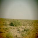 Part of the Sarar savannah at Oog District in the eastern Somaliland.